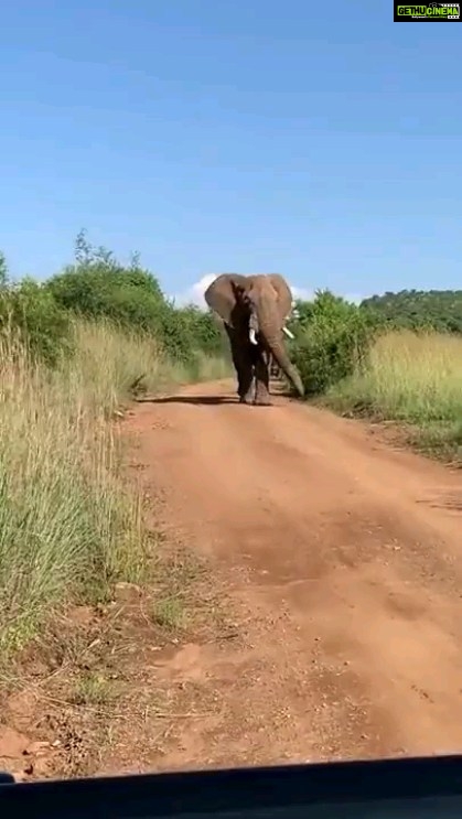 Jackie Shroff Instagram - Monday Motivation 🐘♥️ #Elephantastic