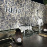 Karishma Kotak Instagram - We wined and we dined -Dior nammos beach-with mother dearest 🤍