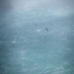 Karishma Kotak Instagram - When nature decides to show off!!!!! Beautiful #niagarafalls 🌊 Niagara Falls