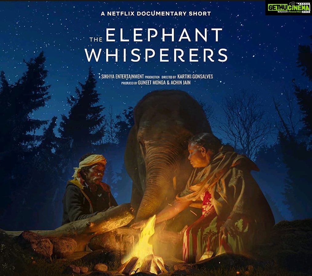 Kirti Kulhari Instagram - Ahhhh this film ❤ #theelephantwhisperers 💥 A beautiful film about the bond that needs to exist and be strengthened between human beings and animals… that’s the way it naturally is and that’s what co-existence is about. It’s an overwhelming moment for this film to have won the most prestigious world acknowledgment #theoscars #2023. Couldn’t be prouder and happier for @guneetmonga #achinjain @sikhya #kartikigonsalves @netflix_in … u guys have finally done it… means a lot to the whole fraternity.. May we all continue to pursue what we truly believe in with or without an #oscar 🤓. Loads of congratulations, wishes and love to the entire team 🤗❤ P.S- those of you who haven’t caught it yet.. pls do.. it will leave you with a lump in your throat and smile on your faces. It’s available on @netflix_in 💕