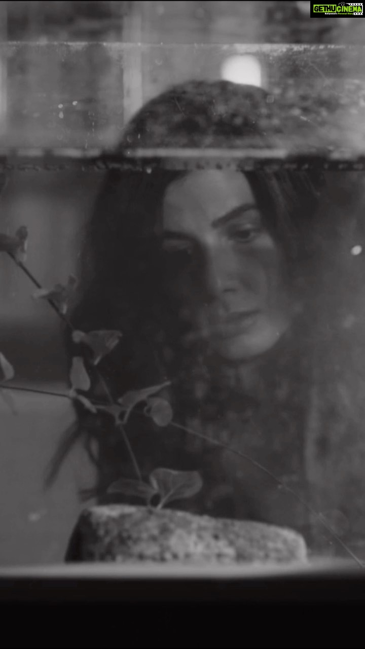 Kirti Kulhari Instagram - #thehra @seth_kanishk #restofthenight ❤️ #shortfilm Streaming now on @disneyplushotstar Written and directed by @prayritseth
