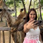 Krissann Barretto Instagram - Why be a people person when you can be an animal whisperer? 🦒😍♥️ #reels #reelsinstagram #trendingreels #viral #animallovers #giraffe #socute #babies #love