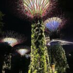 Madhurima Roy Instagram - Singapore, you futuristic main course 🍽 Not calling this a dump cause it was anything but that. Such a peep hole into the future this place. Just wow. .. Part 1/2 .. #singapore #exploresingapore #singaporetravel #marinasands #gardensbythebay #singaporetrip #singaporetourism