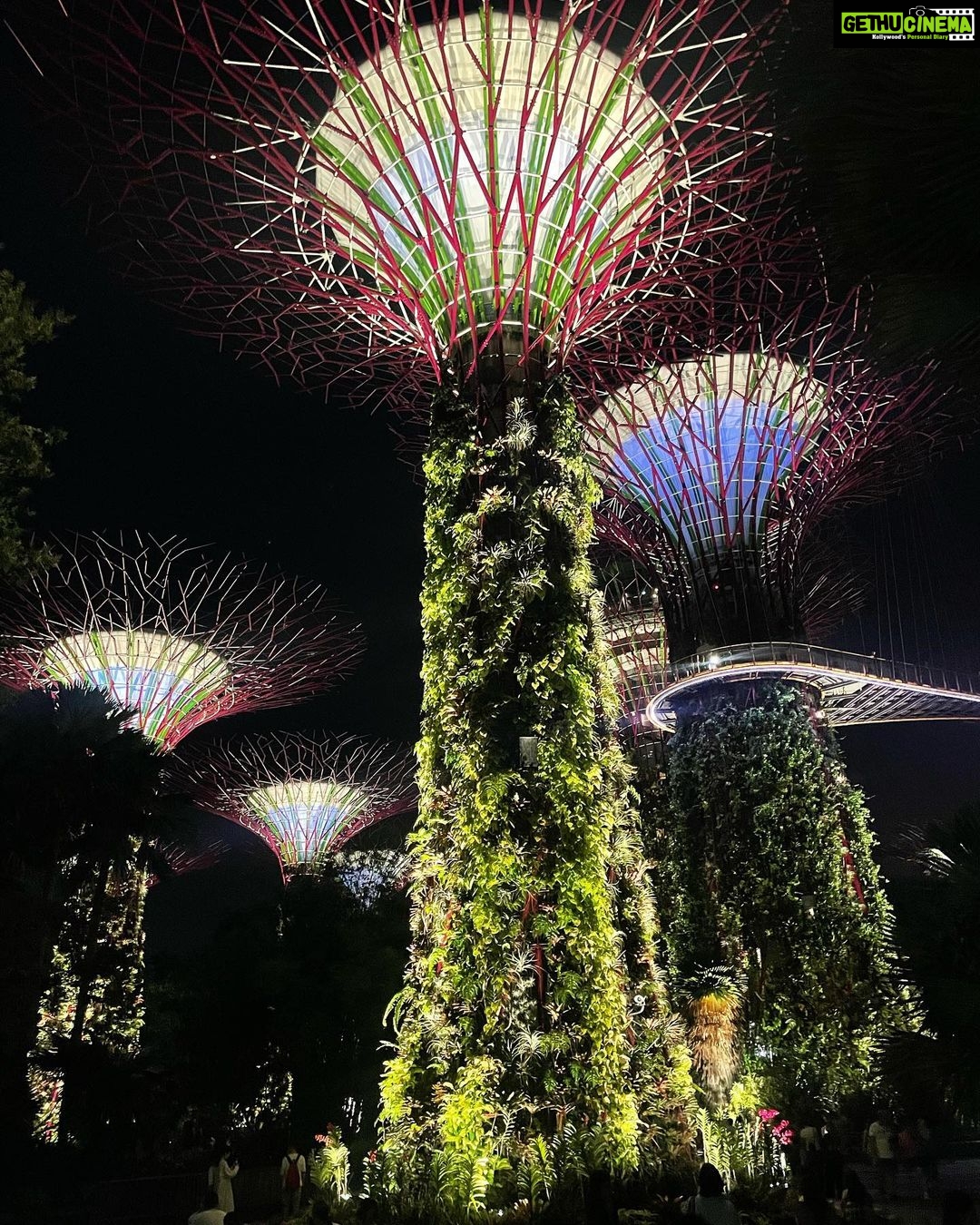 Madhurima Roy Instagram - Singapore, you futuristic main course š½ Not calling this a dump cause it was anything but that. Such a peep hole into the future this place. Just wow. .. Part 1/2 .. #singapore #exploresingapore #singaporetravel #marinasands #gardensbythebay #singaporetrip #singaporetourism