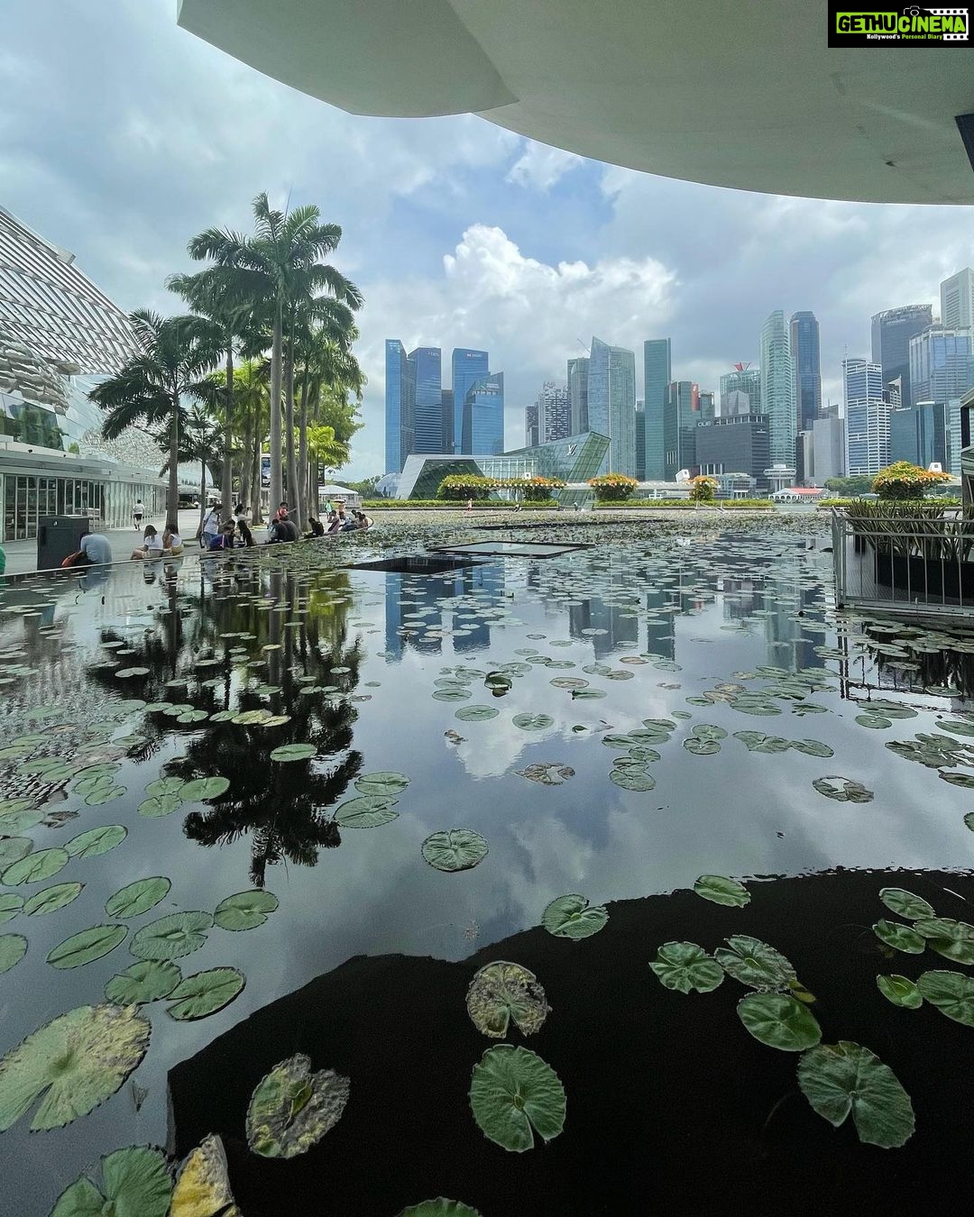 Madhurima Roy Instagram - Singapore, you futuristic main course š½ Not calling this a dump cause it was anything but that. Such a peep hole into the future this place. Just wow. .. Part 1/2 .. #singapore #exploresingapore #singaporetravel #marinasands #gardensbythebay #singaporetrip #singaporetourism
