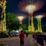 Madhurima Roy Instagram - Singapore, you futuristic main course 🍽 Not calling this a dump cause it was anything but that. Such a peep hole into the future this place. Just wow. .. Part 1/2 .. #singapore #exploresingapore #singaporetravel #marinasands #gardensbythebay #singaporetrip #singaporetourism