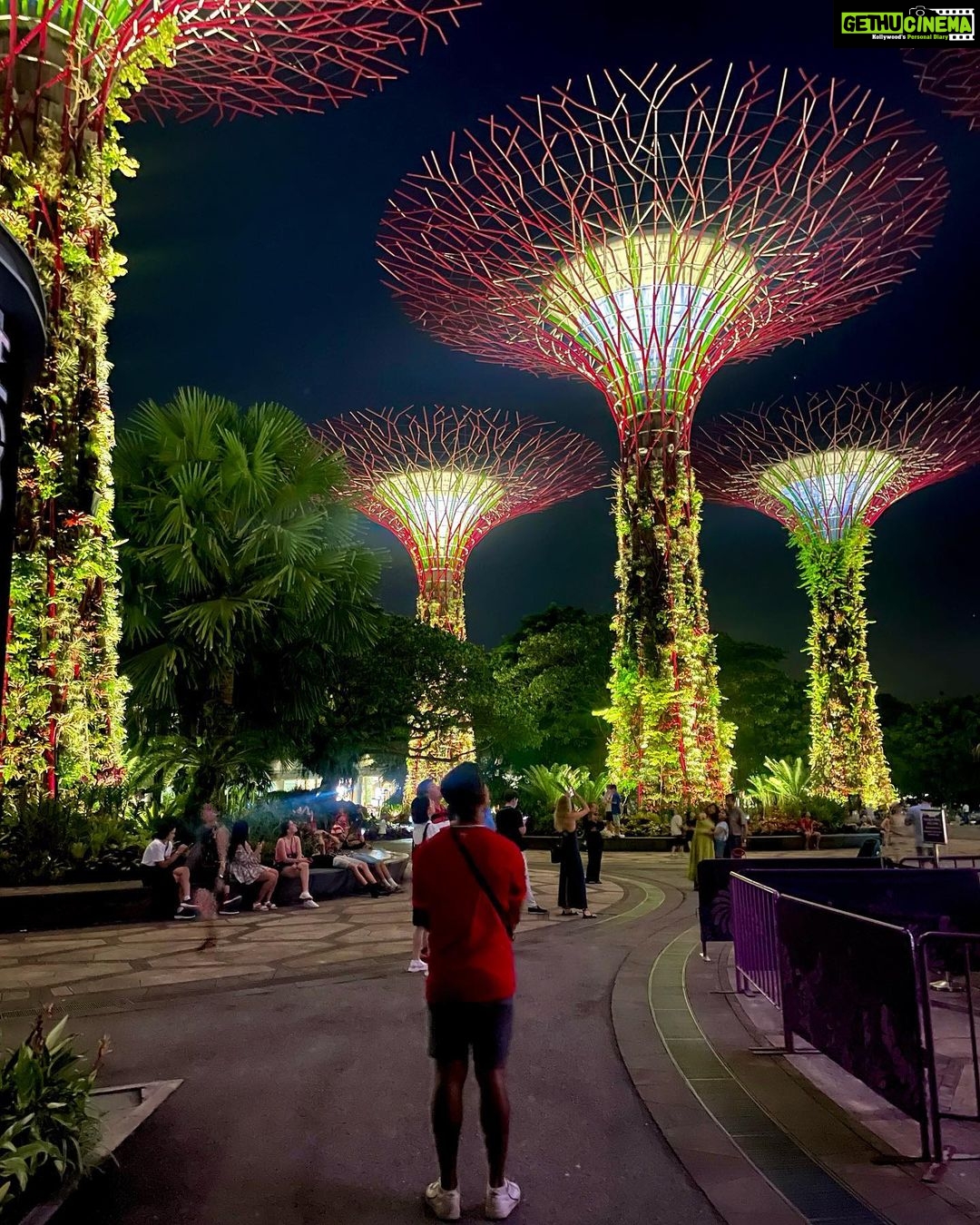 Madhurima Roy Instagram - Singapore, you futuristic main course š½ Not calling this a dump cause it was anything but that. Such a peep hole into the future this place. Just wow. .. Part 1/2 .. #singapore #exploresingapore #singaporetravel #marinasands #gardensbythebay #singaporetrip #singaporetourism