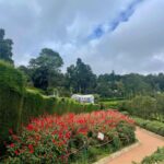 Madhurima Roy Instagram - I say eat your greens and live in it too 🥬🍀🌿🥑🌱🦖🍃🥦 .. #ooty #conoor #ootyhills #conoorhillstation💙 #solotrip Ooty & Coonoor, Nilgiri Hills, Tamil Nadu