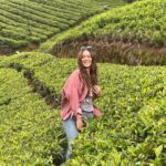Madhurima Roy Instagram - I say eat your greens and live in it too 🥬🍀🌿🥑🌱🦖🍃🥦 .. #ooty #conoor #ootyhills #conoorhillstation💙 #solotrip Ooty & Coonoor, Nilgiri Hills, Tamil Nadu