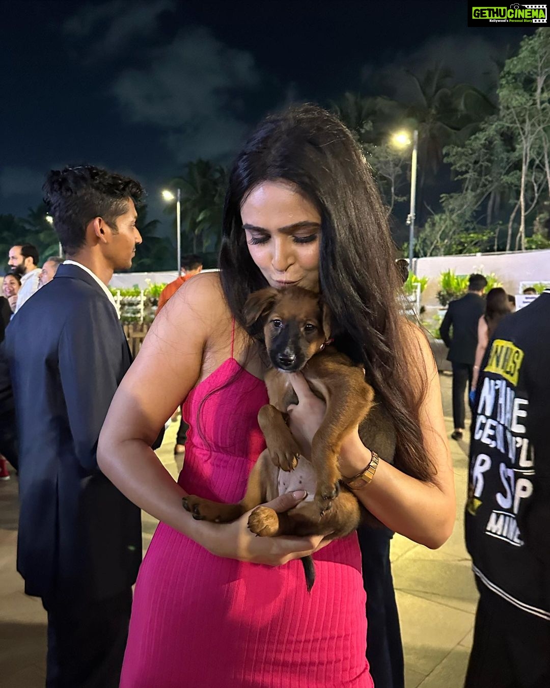 Madhurima Tuli Instagram - Last evening was spectacular spending time with these munchkins.. Congratulations on your 2nd anniversary @jf.yolofoundation @jacquelinef143 and Thank you for having me. These puppies are also looking for a home. Feel free to contact them. ❤️❤️ @jio_creative_labs