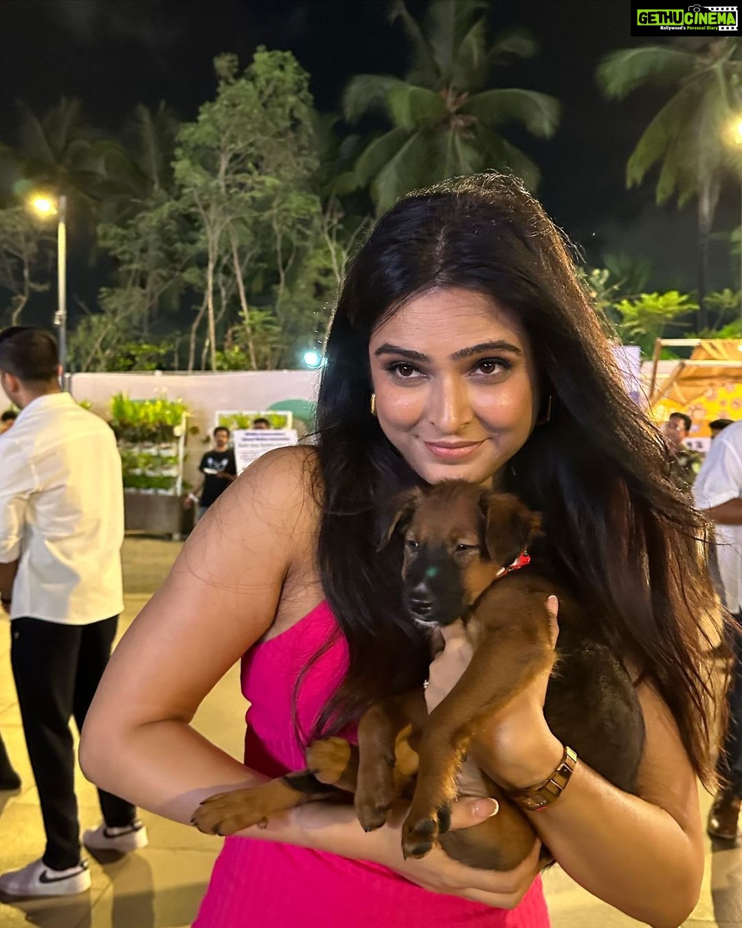 Madhurima Tuli Instagram - Last evening was spectacular spending time with these munchkins.. Congratulations on your 2nd anniversary @jf.yolofoundation @jacquelinef143 and Thank you for having me. These puppies are also looking for a home. Feel free to contact them. ❤️❤️ @jio_creative_labs