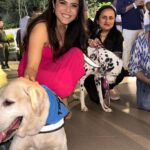 Madhurima Tuli Instagram - Last evening was spectacular spending time with these munchkins.. Congratulations on your 2nd anniversary @jf.yolofoundation @jacquelinef143 and Thank you for having me. These puppies are also looking for a home. Feel free to contact them. ❤️❤️ @jio_creative_labs