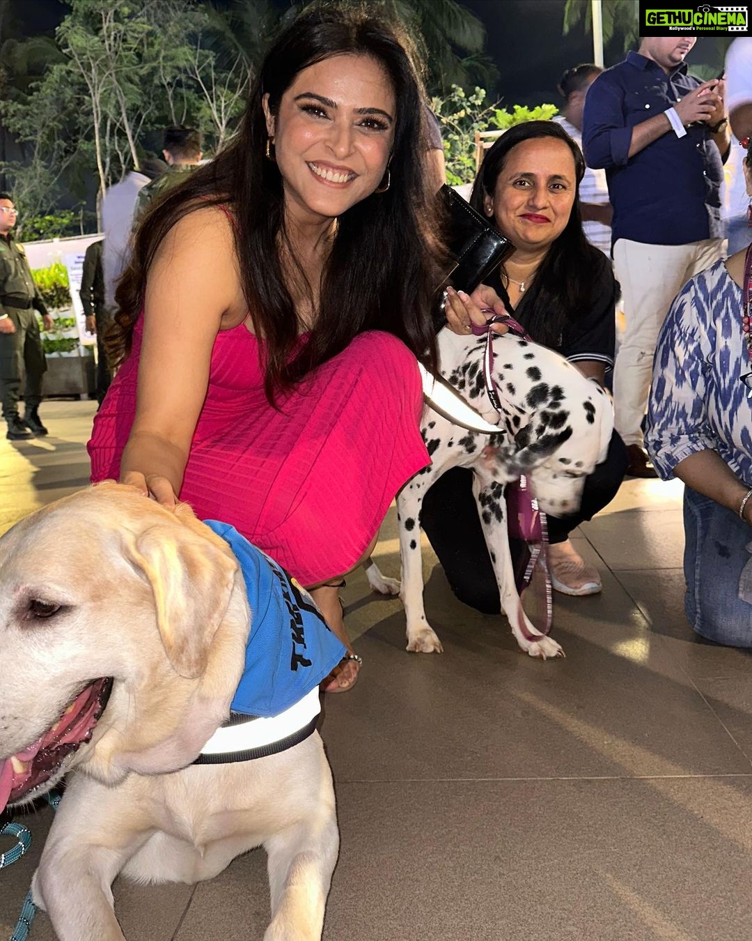Madhurima Tuli Instagram - Last evening was spectacular spending time with these munchkins.. Congratulations on your 2nd anniversary @jf.yolofoundation @jacquelinef143 and Thank you for having me. These puppies are also looking for a home. Feel free to contact them. ❤️❤️ @jio_creative_labs