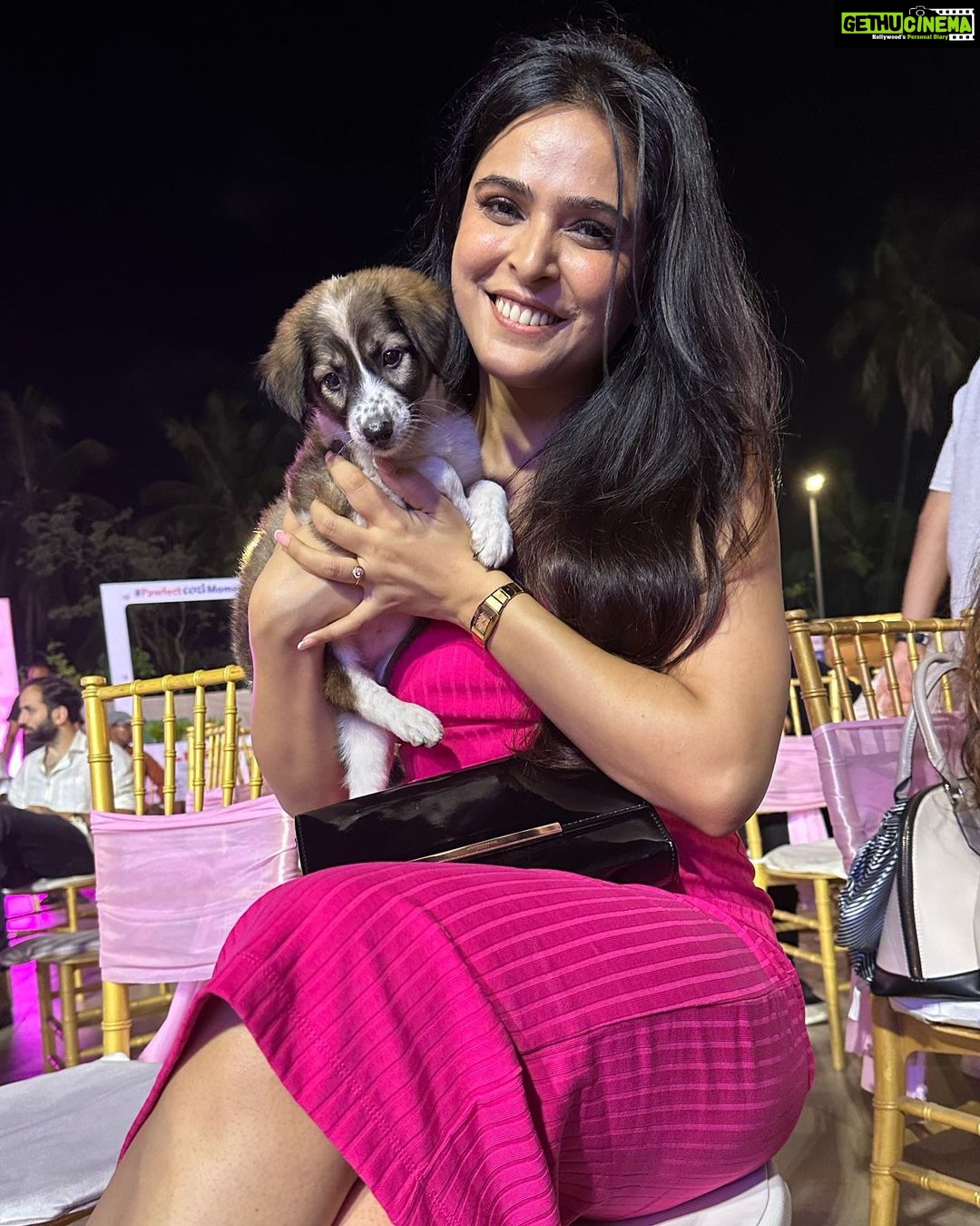 Madhurima Tuli Instagram - Last evening was spectacular spending time with these munchkins.. Congratulations on your 2nd anniversary @jf.yolofoundation @jacquelinef143 and Thank you for having me. These puppies are also looking for a home. Feel free to contact them. ❤️❤️ @jio_creative_labs
