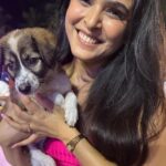 Madhurima Tuli Instagram - Last evening was spectacular spending time with these munchkins.. Congratulations on your 2nd anniversary @jf.yolofoundation @jacquelinef143 and Thank you for having me. These puppies are also looking for a home. Feel free to contact them. ❤️❤️ @jio_creative_labs