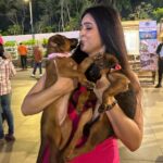 Madhurima Tuli Instagram - Last evening was spectacular spending time with these munchkins.. Congratulations on your 2nd anniversary @jf.yolofoundation @jacquelinef143 and Thank you for having me. These puppies are also looking for a home. Feel free to contact them. ❤️❤️ @jio_creative_labs