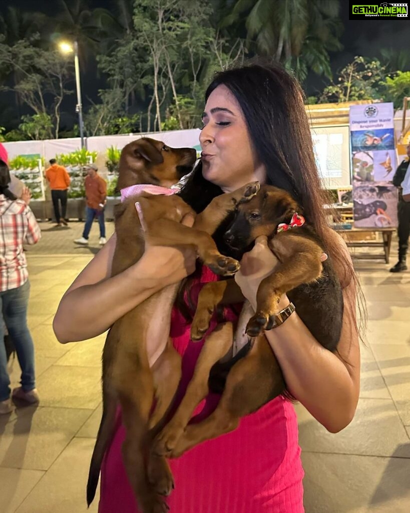 Madhurima Tuli Instagram - Last evening was spectacular spending time with these munchkins.. Congratulations on your 2nd anniversary @jf.yolofoundation @jacquelinef143 and Thank you for having me. These puppies are also looking for a home. Feel free to contact them. ❤️❤️ @jio_creative_labs