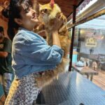 Madhurima Tuli Instagram - Birthday boys day out.. 🐈♥️ #prebirthdaycelebration #3rdaugust #leo #cats #mybaby