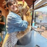 Madhurima Tuli Instagram - Birthday boys day out.. 🐈♥️ #prebirthdaycelebration #3rdaugust #leo #cats #mybaby