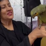 Madhushree Instagram – Soo cute Parrot .. “tota pakhi “ in #bengali met in #suriname
