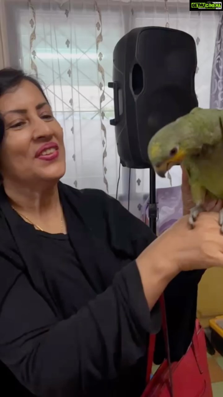 Madhushree Instagram - Soo cute Parrot .. “tota pakhi “ in #bengali met in #suriname