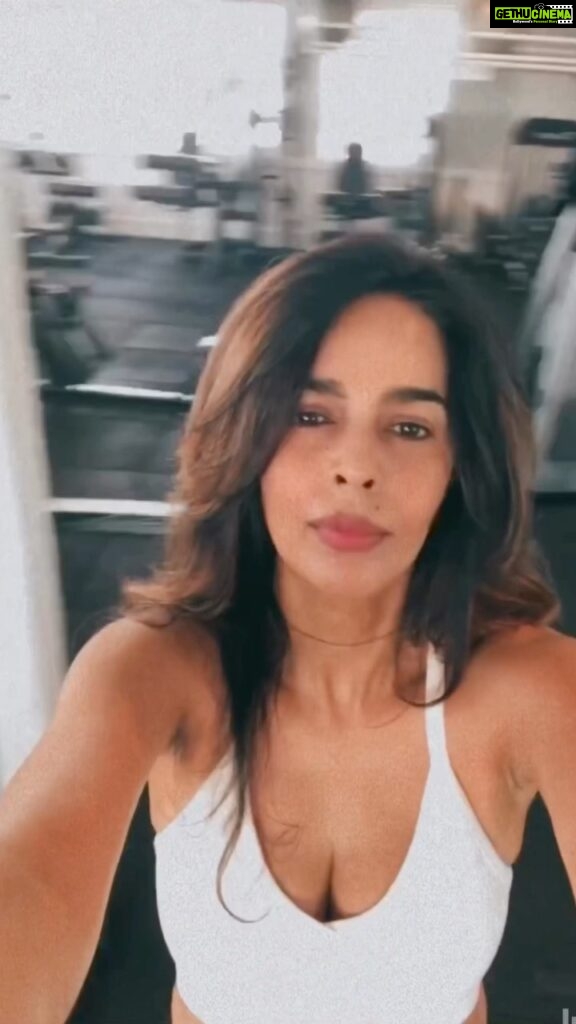 Mallika Sherawat Instagram - Feeling on top of the world after a great workout 🏋‍♂endorphins kickin’ in 🤩 wearing @alo @aloyoga . . . . . . . . . . #fitnesslove #fitnessvideo #workoutday #fitnessgram #fitnessaddicts #fitnessinfluencer #fitnessforlife #lovefitness #fitnessjunkie #fitnessgirlmotivation #ilovefitness #loveforfitness #lovelifefitness #ilovehighfitness #fitnessblogger #fitnesslovers #fitgoals #fitnessinspiration #fitnessmotivation #fitnesslife #fitnessmode #fitnessguru Los Angeles, California