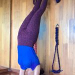 Mallika Sherawat Instagram - Becoming flexible is not the goal. Standing on your hands is not the goal. The goal is serenity. Balance. It’s about learning & what experience you gain through the process #pinchamayurasana #yoga #yogaeveryday #reelsvideo