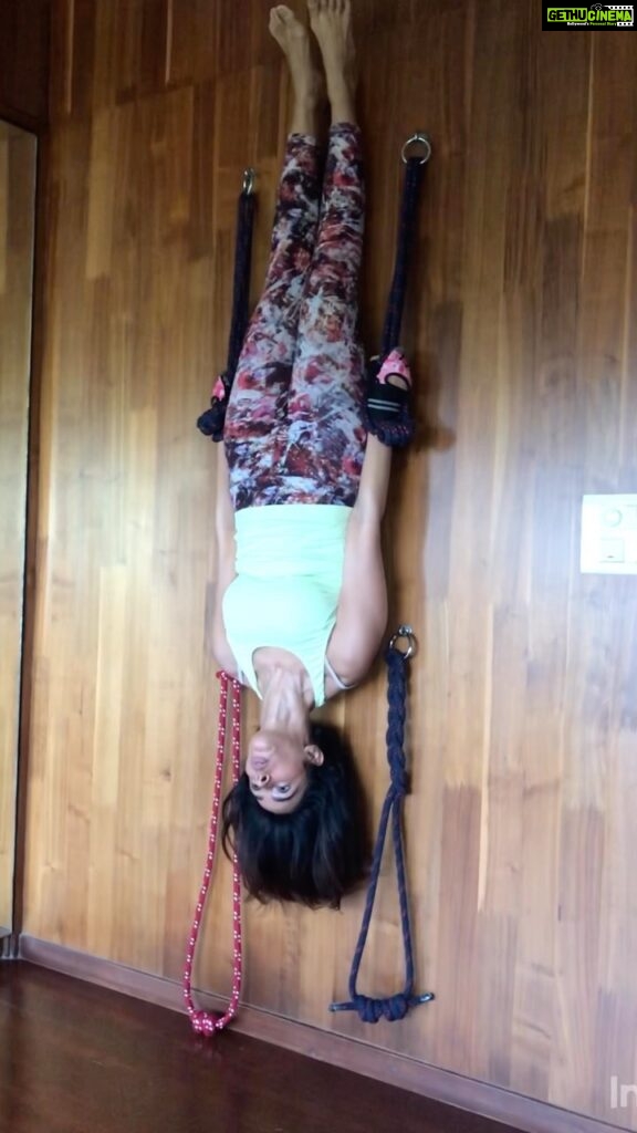 Mallika Sherawat Instagram - Yoga is about Rising to a new level of Balance & competence in all aspects of life 🕉️ . . . . . . #reelkarofeelkaro #reelitfeelit #yogaeveryday #yogaeverydamday #yogagirl