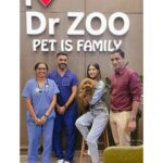 Mamta Mohandas Instagram - So here we are entering the month of love.. and there’s only one and only one who takes and gives all of it unconditionally.. my GUCCI. Talking of which did you know that February happens to also be the ‘Responsible Pet Owners’ month? (Yeah there IS such a thing 😁) So, here’s a huge shout out to Dr. Kishore, Dr. Sonika and team of vets at the Dr. Zoo clinic spearheaded by Mr. Sudin, all of who spent days/nights taking care of my gooch when he got real sick on his first birthday in November. Thank you for the Meticulous love, attention and care you gave him 24/7, and thank you for giving a healthy boy back to me. You guys rock! @drzoopethospital #puppylove #veterninarian #vet #dog #toypoodle #february #monthoflove #giveback #thankyou #gratitude