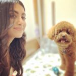 Mamta Mohandas Instagram - My favorite person’s at work today.. happy #friyay #petlife #pet #lookwhoshere #atwork #gucci #bestfriend