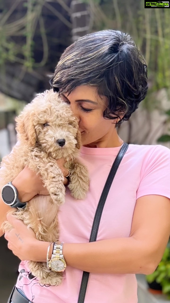 Mandira Bedi Instagram - Welcoming to the Family: Bark, Bach, Barkinder, Baku, Bade Bark Saheb, Barklava Bark-khurdar ❤️🐶❣️🧿