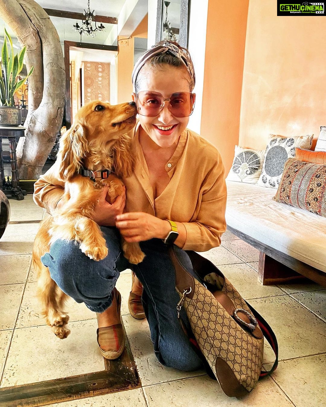 Manisha Koirala Instagram - Even though I m happy that I ll be meeting my parents my bro n his family, my dearest #girlgang β¦still leaving #simbakoirala & #mowglikoirala I feel sad π.. super grateful for receiving this amount of love!! ππ»ππ»ππ»β€οΈβ€οΈβ€οΈ #gratitude #love #flying #kathmandu #home #familytime #missingmypets #puppy #kitten Mumbai, Maharashtra