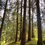 Manisha Koirala Instagram - Hiking people #naturelovers #hiking Wengen - Swiss Alps, Switzerland