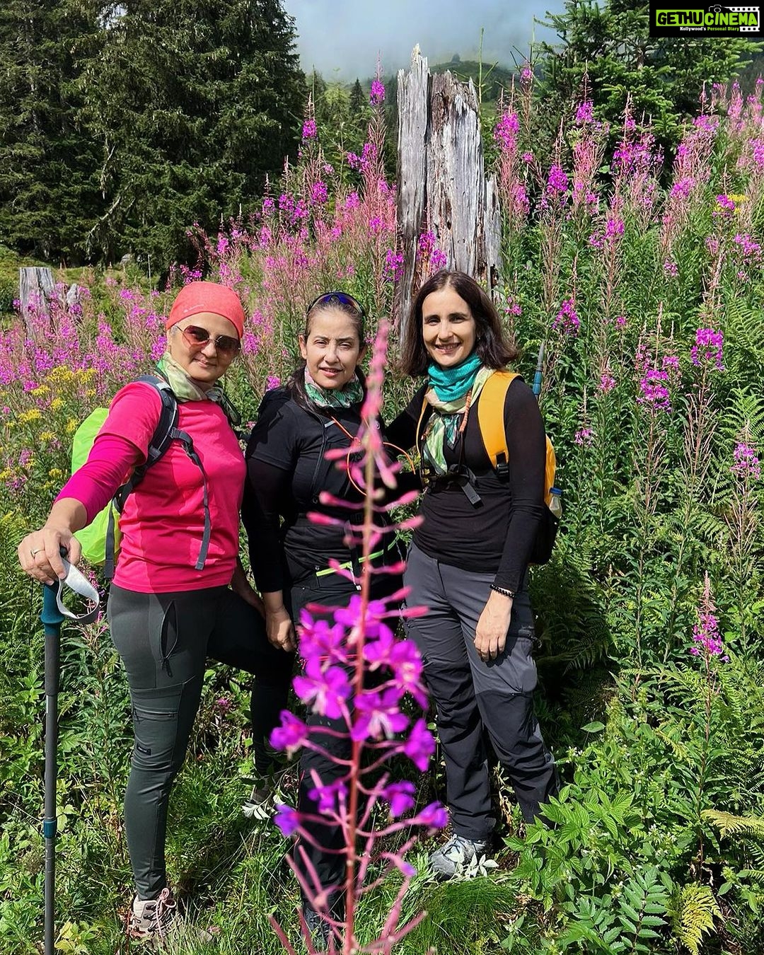Manisha Koirala Instagram - Hiking people #naturelovers #hiking Wengen - Swiss Alps, Switzerland