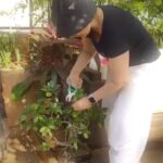 Manisha Koirala Instagram - I love plants..its the most de-stressing activity!! Besides I m a hands on gardener 😋in Kathmandu I love growing fruits n Vegetables besides flowers n decorative plants .. in Mumbai my off work days are filled with plants,pets,books n music…and dreams of hiking in nature .. #gardening #spring #hobby #plants #gardeninglife Mumbai, Maharashtra