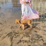 Manisha Koirala Instagram - Introducing #mowglikoirala to #beach #simplejoys