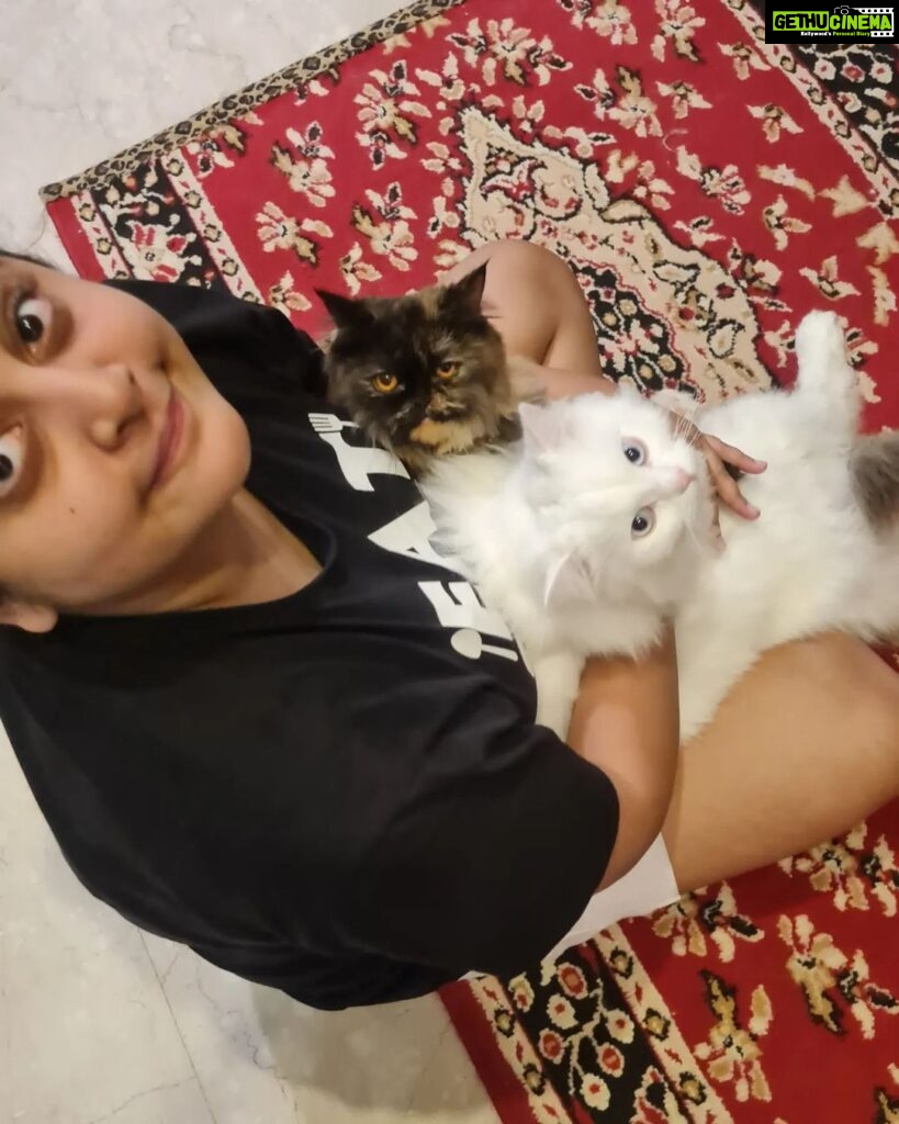 Manjima Mohan Instagram - When someone asks me what my plan for the day is? Me : 1.Find the kitties, 2.Squish them till they run for their dear life, 3. Chase them around and squish them again!🤷‍♀