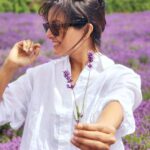 Manju Warrier Instagram – 🪻
#lavenderfields #london

📸 @bineeshchandra @rameshpisharody