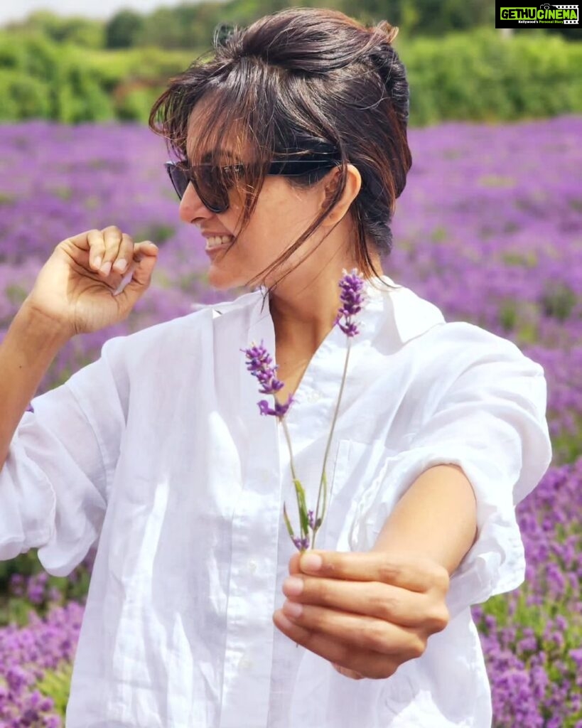 Manju Warrier Instagram - 🪻 #lavenderfields #london 📸 @bineeshchandra @rameshpisharody