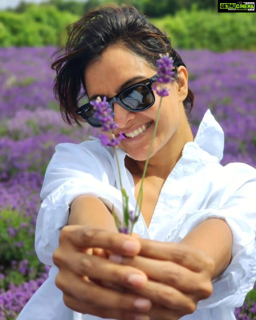 Manju Warrier Instagram - 🪻 #lavenderfields #london 📸 @bineeshchandra @rameshpisharody