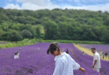 Manju Warrier Instagram - 🪻 #lavenderfields #friends #travel @kunchacks @rameshpisharody @priyaakunchacko @bineeshchandra