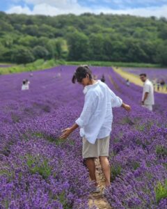 Manju Warrier Instagram - 🪻
#lavenderfields #friends #travel
@kunchacks
@rameshpisharody @priyaakunchacko @bineeshchandra