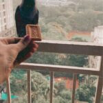 Mayuri Deshmukh Instagram – Monsoon can be difficult for birds or animals. Let’s be compassionate in whatever capacity possible .. Food /Shelter/ Love…There can never be enough kindness ❤️❤️❤️
BTW : I was always afraid of crows, but now these buddies have become so familiar I can tell who has come for a second round 😅 Mumbai Meri Jaan