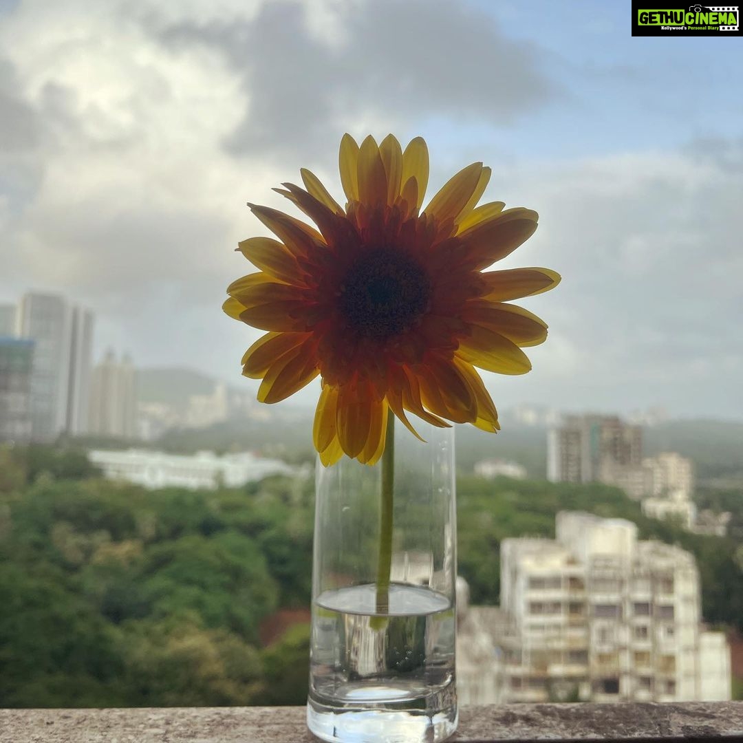 Mayuri Deshmukh Instagram - To Friendships that withstand the test of timeπβ¦ Happy Friendship Day all ππ