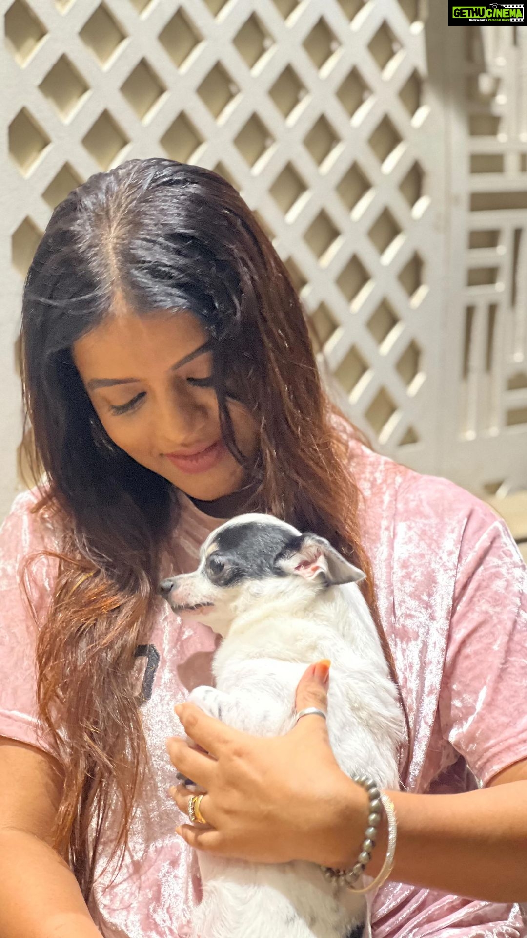 Mitali Nag Instagram - Btw her name is KIWI ♥️😁 And no rewards for guessing who is she looking at 😁 @sankalppardeshi . . #mitaalinag #chihuahua #cutedogs #trendingaudio #love #333 Mumbai, Maharashtra