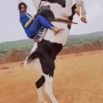 Paridhi Sharma Instagram - Horse riding 🤓 #horse #amazingcreature #riding #adventure #facingfear