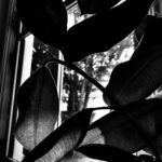 Parvathy Instagram - No transitions. No plot. Nothing. Memory of a slow loving morning on a very hard day.