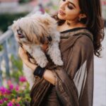 Parvatii Nair Instagram - My little one @staar_the_champ and I!🐶❤️ Photography & videos: @jakobz_media @krish.jkm @rajo_bhaii Assisted by: @julien.filmmaker Stylist: @ratchasi Saree: @ranyasarees Make up and hair: @geetha_mua_chennai