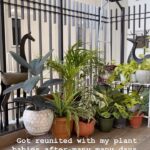 Pavani Gangireddy Instagram -