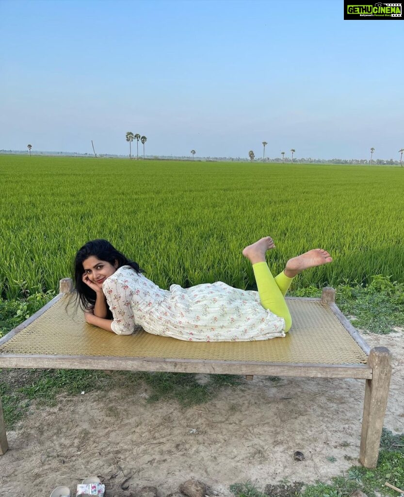 Pavani Gangireddy Instagram - The best Sankranthi celebrations are when you are at the villages. #sankranti #pongal #paddyfield #village